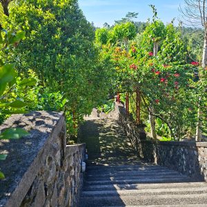 WhatsApp Image 2026-04-11 at 11.43.43